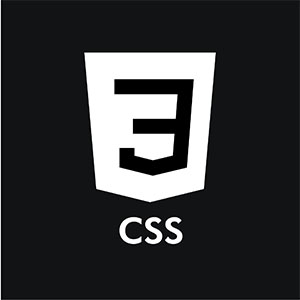 CSS Icon